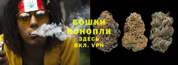 ПСИЛОЦИБИНОВЫЕ ГРИБЫ Беломорск