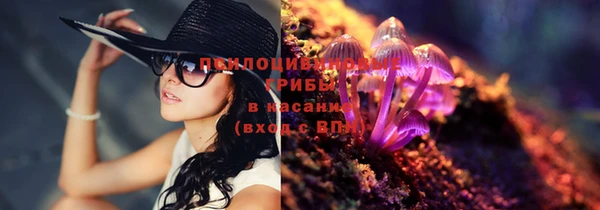 бутират Белокуриха