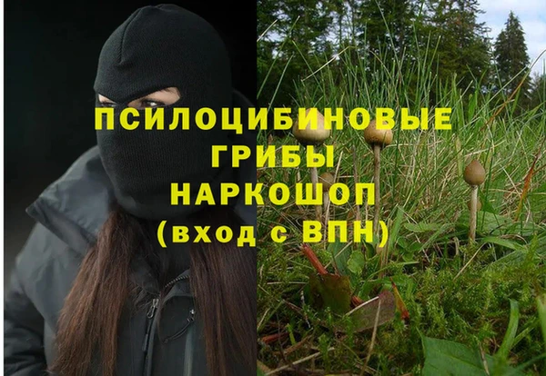 ПСИЛОЦИБИНОВЫЕ ГРИБЫ Беломорск
