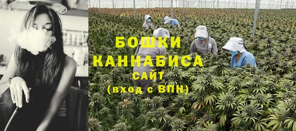 бутират Белокуриха