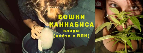 ПСИЛОЦИБИНОВЫЕ ГРИБЫ Беломорск