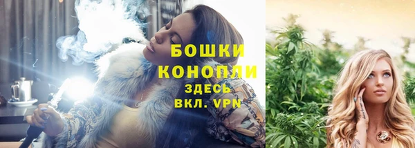 бутират Белокуриха