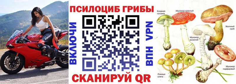 Псилоцибиновые грибы Cubensis KRAKEN Мглин