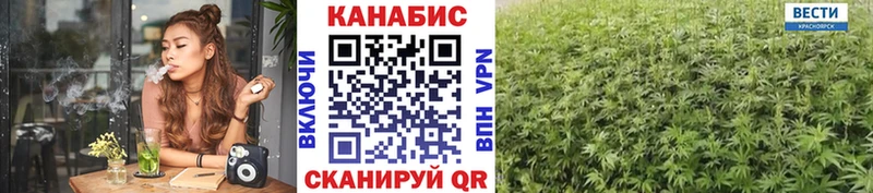 Бошки Шишки OG Kush  где найти   Мглин 